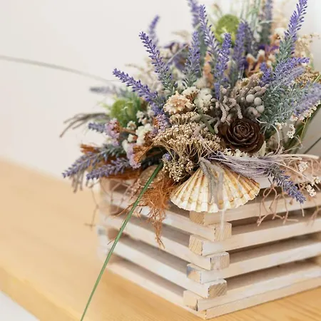 Old Beauty דירה *